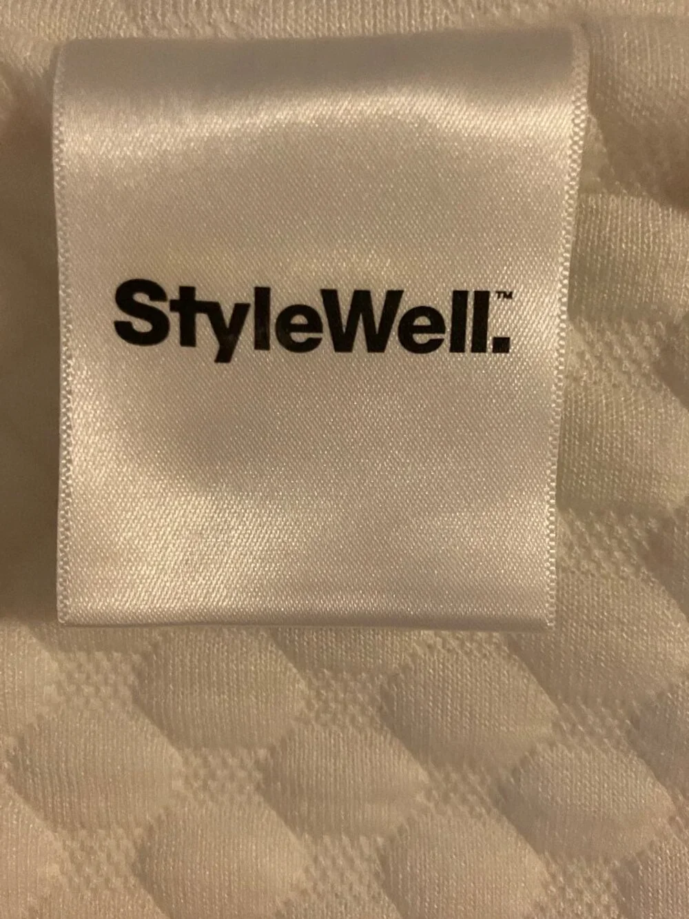 StyleWell Bamboo Blend Pillow Cover/Dust Mite Barrier (Standard Size)